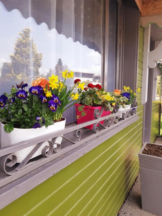 Gite Le Chalet Vert , Pret De Raquettes Frambouhans エクステリア 写真